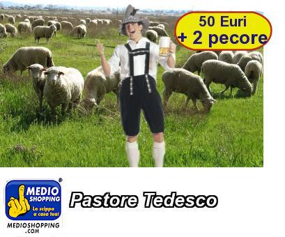 Medioshopping Pastore Tedesco