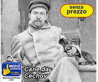 Medioshopping Cane da Cechov