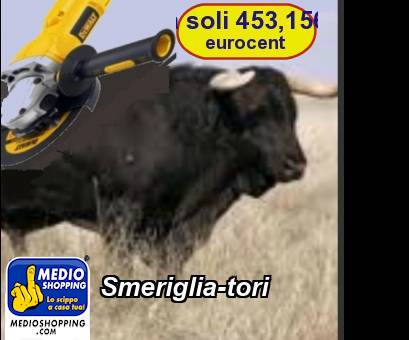 Medioshopping Smeriglia-tori