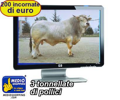 Medioshopping 3 tonnellate di pollici