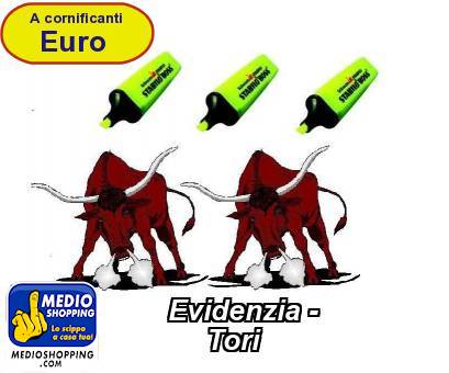 Medioshopping Evidenzia -             Tori