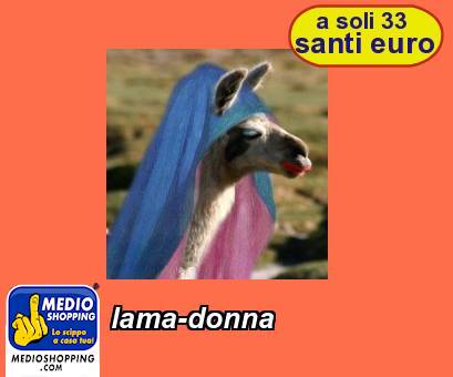 Medioshopping lama-donna