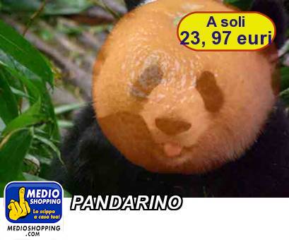 Medioshopping PANDARINO