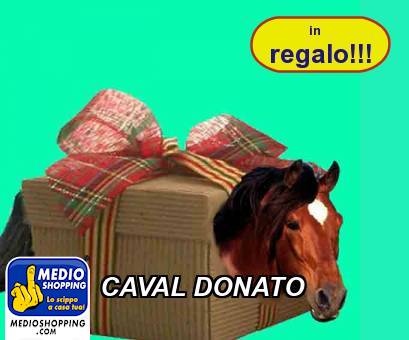 Medioshopping CAVAL DONATO