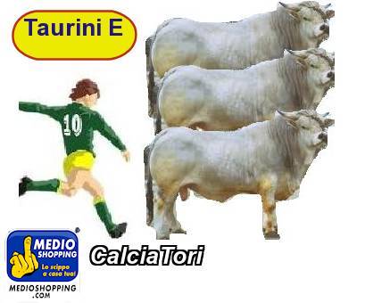 Medioshopping CalciaTori