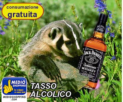 Medioshopping TASSO ALCOLICO