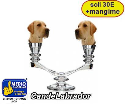 Medioshopping CandeLabrador