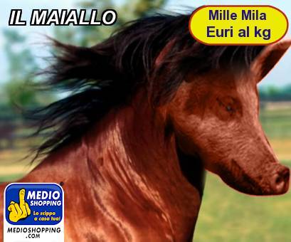 Medioshopping IL MAIALLO