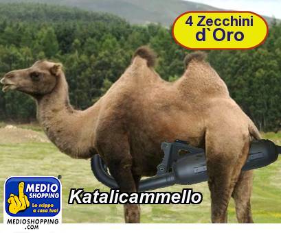 Medioshopping Katalicammello