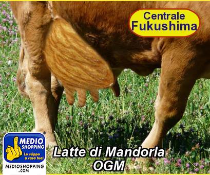 Medioshopping Latte di Mandorla             OGM