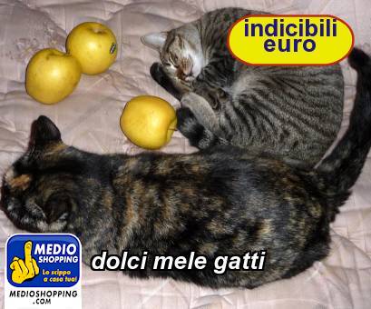 Medioshopping dolci mele gatti