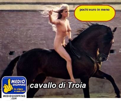 Medioshopping cavallo di Troia