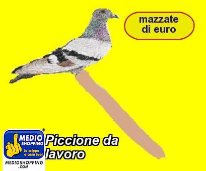 Medioshopping Piccione da lavoro