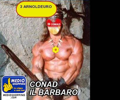 Medioshopping CONAD  IL BARBARO