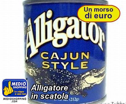 Medioshopping Alligatore  in scatola