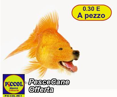 Medioshopping PesceCane Offerta