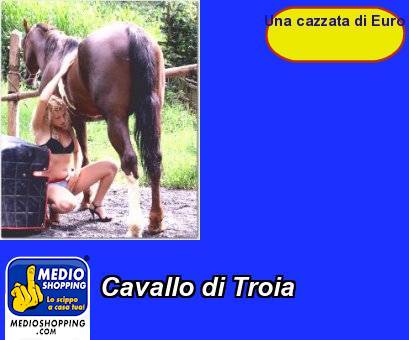 Medioshopping Cavallo di Troia