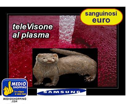 Medioshopping teleVisone al plasma