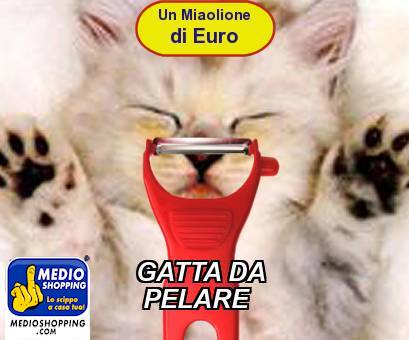 Medioshopping GATTA DA  PELARE