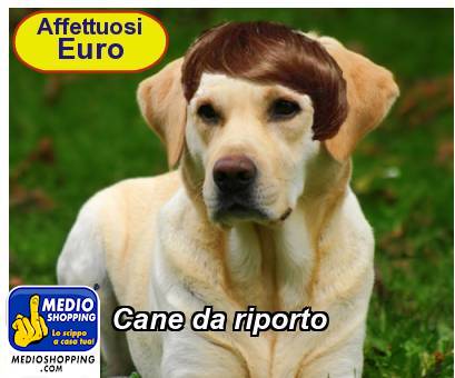 Medioshopping Cane da riporto