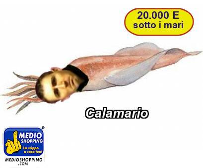 Calamario