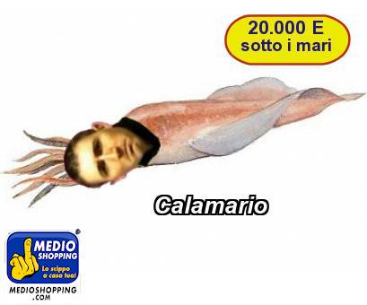 Medioshopping Calamario