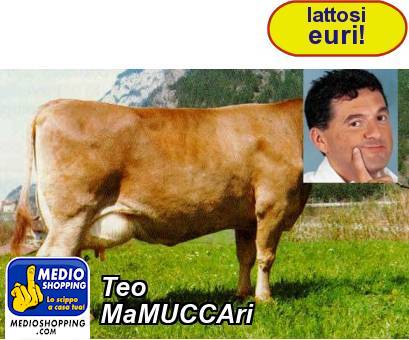 Medioshopping Teo MaMUCCAri