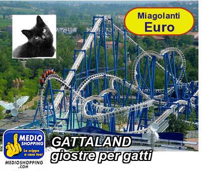 Medioshopping GATTALAND giostre per gatti