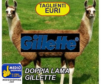 DOPPIA LAMA GILLETTE
