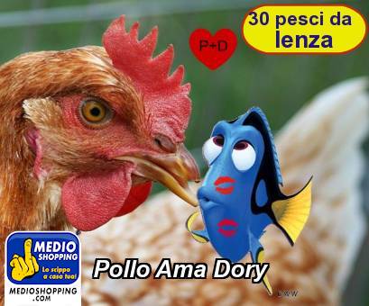 Pollo Ama Dory