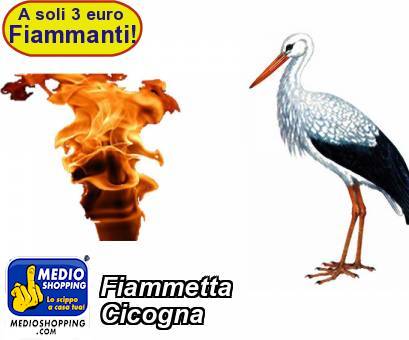 Medioshopping Fiammetta  Cicogna