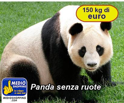 Medioshopping Panda senza ruote