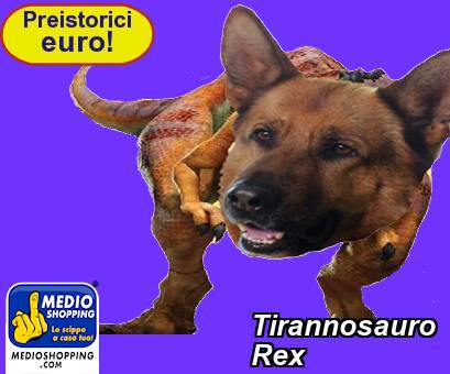 Tirannosauro        Rex