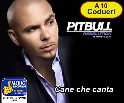 Medioshopping Cane che canta