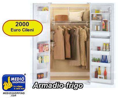 Medioshopping Armadio-frigo