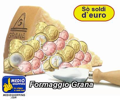 Medioshopping Formaggio Grana