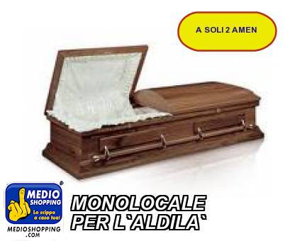 Medioshopping MONOLOCALE  PER L`ALDILA`