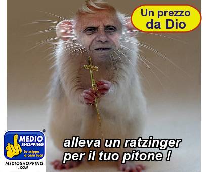 Medioshopping alleva un ratzinger per il tuo pitone !