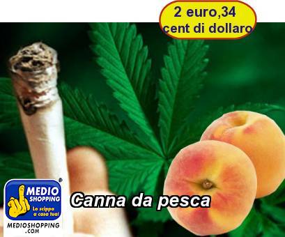 Medioshopping Canna da pesca