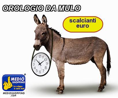 Medioshopping OROLOGIO DA MULO